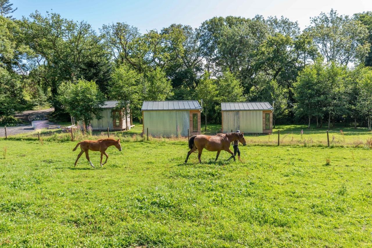 Sunset Cabins - Studio Pod-Sleeps 3-Tjsssc バーンスタプル エクステリア 写真
